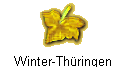 Winter-Thringen